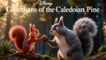 Guardians of the Caledonian Pine